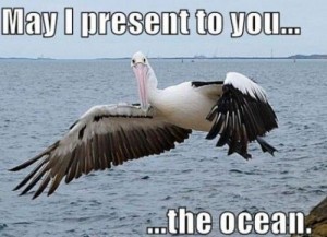 IPresentToYouTheOcean